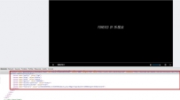乐视云flash视频地址怎么解析