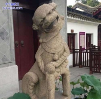 狮子，你怎么了