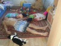 一家子躺了 中枪