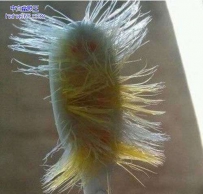 看来真的该换牙刷了
