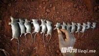 我的天啊，这串你敢撸吗！