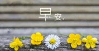 为什么早起嘴里会发苦