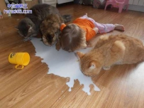 这一幕太搞了