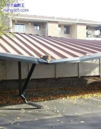 人类的建筑根本承受不住我啊
