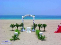 美丽的海滩婚礼装饰（26张）