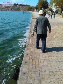 大爷，请关注一下你的狗