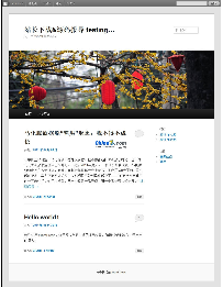WordPress教程：简易信息统计代码