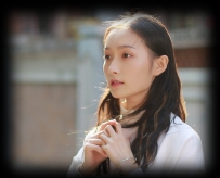 携一抹温柔，与文字相伴【情感美文】