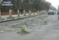这城市路面绿化做的真好