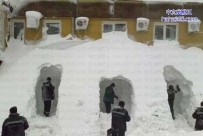 自挖门前雪