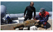 探险家发现离奇消失百年的沉船残骸，至今仍保密其具体方位 ...