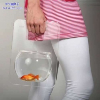 咱也带宠物出门
