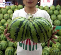 我俩是孪生姐妹