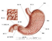 嗳气是什么意思