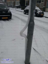 这里的雪开挂了