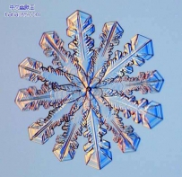 雪花竟然有这么多形状（13张）