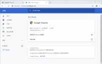Chrome 79.0.3945.117 绿色增强版