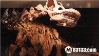 巨型泰坦：三D打印技术还原恐怖史前生物！