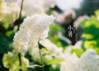 小暑节气气象条件与农事活动