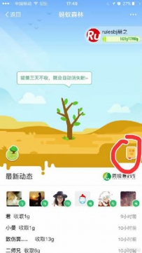 钉钉蚂蚁森林如何快速生产绿色能量