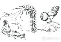 十二生肖中的公鸡为什么喜欢吃蜈蚣