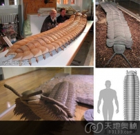 14种活到现在绝对会吓死你的史前生物