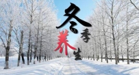 冬季养生知识大全