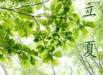 立夏节气的农事活动