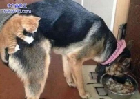 让我看看你在吃什么