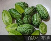 世界上最小的西瓜 仅与花生米一样大