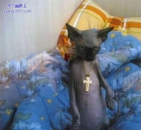 你是要告诉我们你也是有信仰的吗？