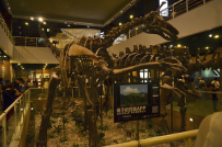 百度语音搜索上线童声识别：大人小孩的搜索结果大不同