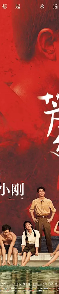 冯小刚电影《芳华》剧情介绍 在线观看资源