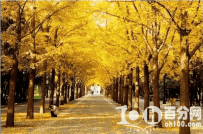 北京旅游景点闭馆时间 2017来北京旅游值得一去的景点开放时间 ...