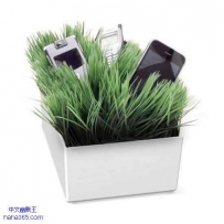 不寻常的IPHONE底座（13张）