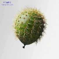 谁敢弄它