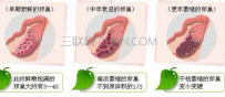 如何保养卵巢