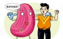 为什么脾衰比肾虚更可怕