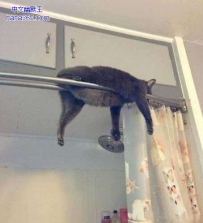 我家猫咪就喜欢这样睡