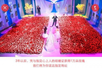 支付宝恋爱保险值得购买吗