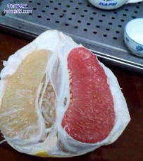 一定是混血的