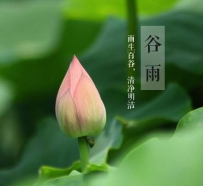 谷雨节气如何养生？