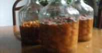 枇杷酒的功效与作用
