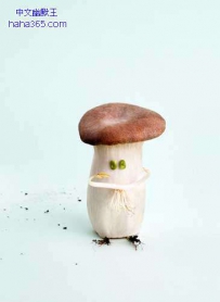 食材艺术（6张）