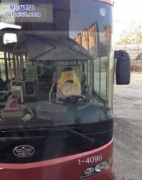 公交大叔，你的座套亮了