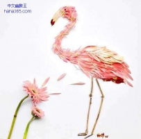 美食演绎的美（18张）