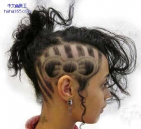 头上有个蝴蝶结