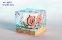 纸的3D神奇世界（6张）