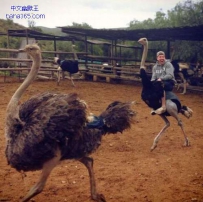 你来抓我阿