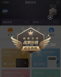 支付宝蚂蚁会员积分怎么兑换
